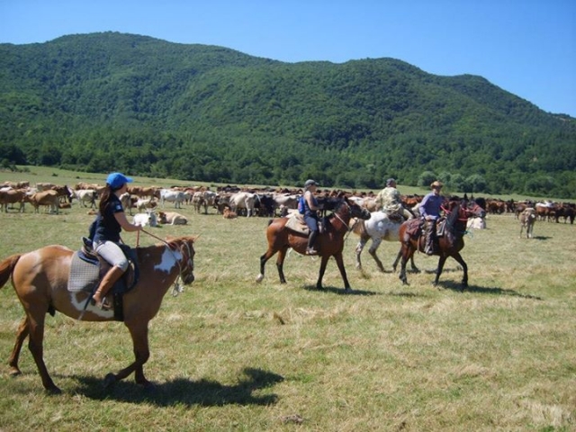  En la silla de subir en el valle 